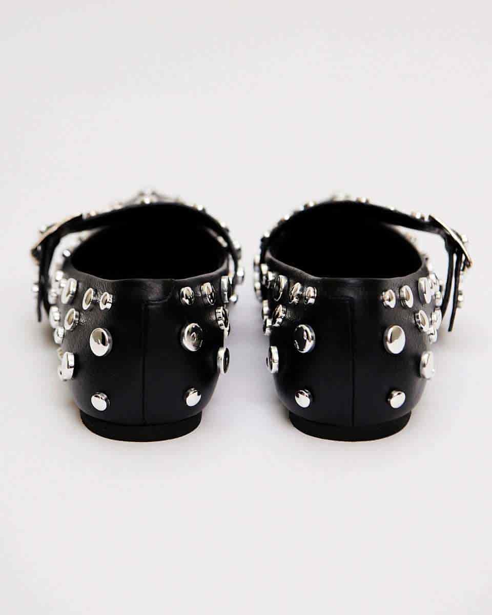 POINTER FLATS BLACK - miniatura 7