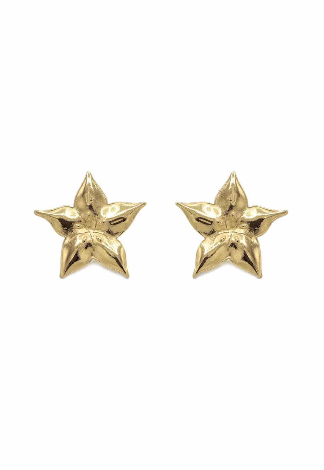 Baby Carambola Studs - miniatura 1