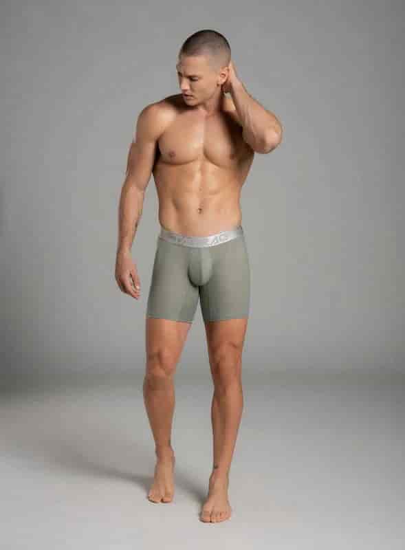 BOXER LARGO MICROFIBRA ZEUS


TALLA S - M - L - XL - miniatura 2