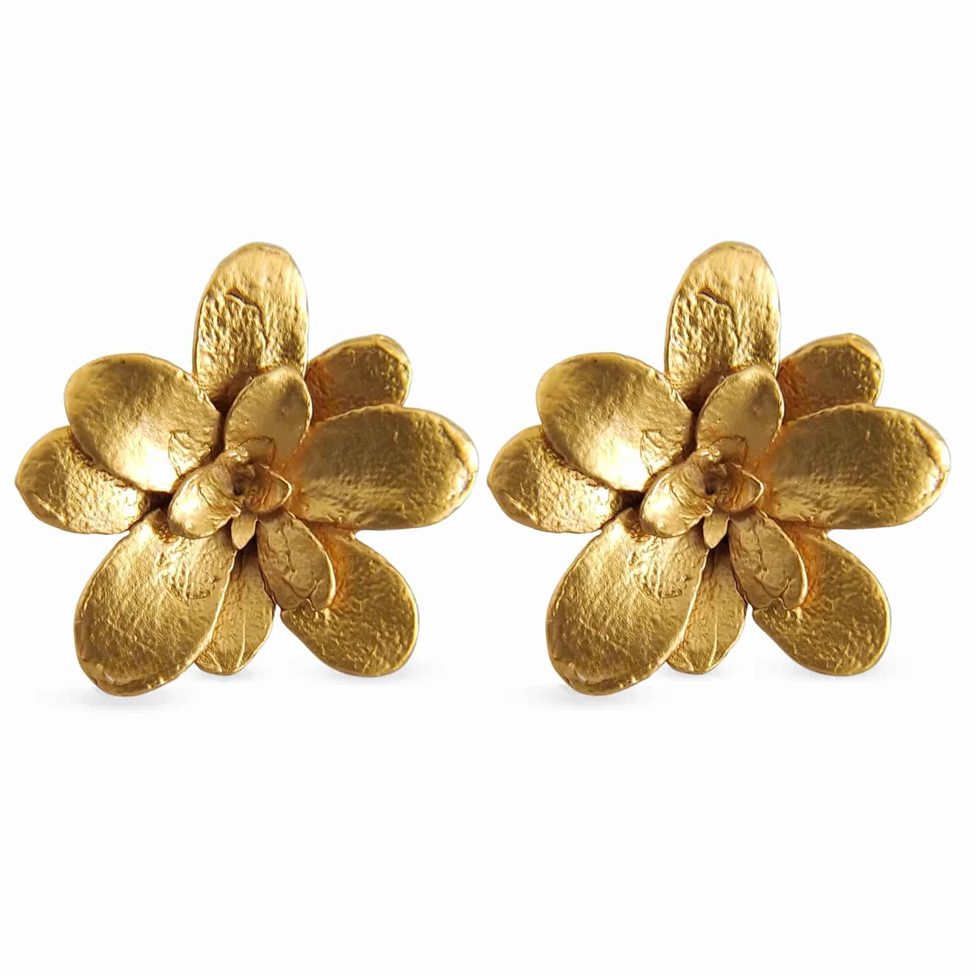 Aretes suculentas Cene en plata con baño de oro - miniatura 1
