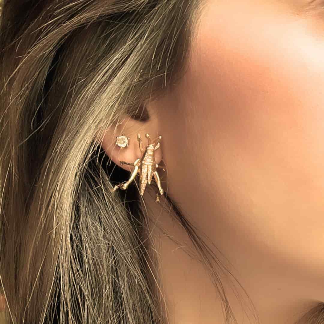 Aretes de saltamontes medianos - miniatura 4
