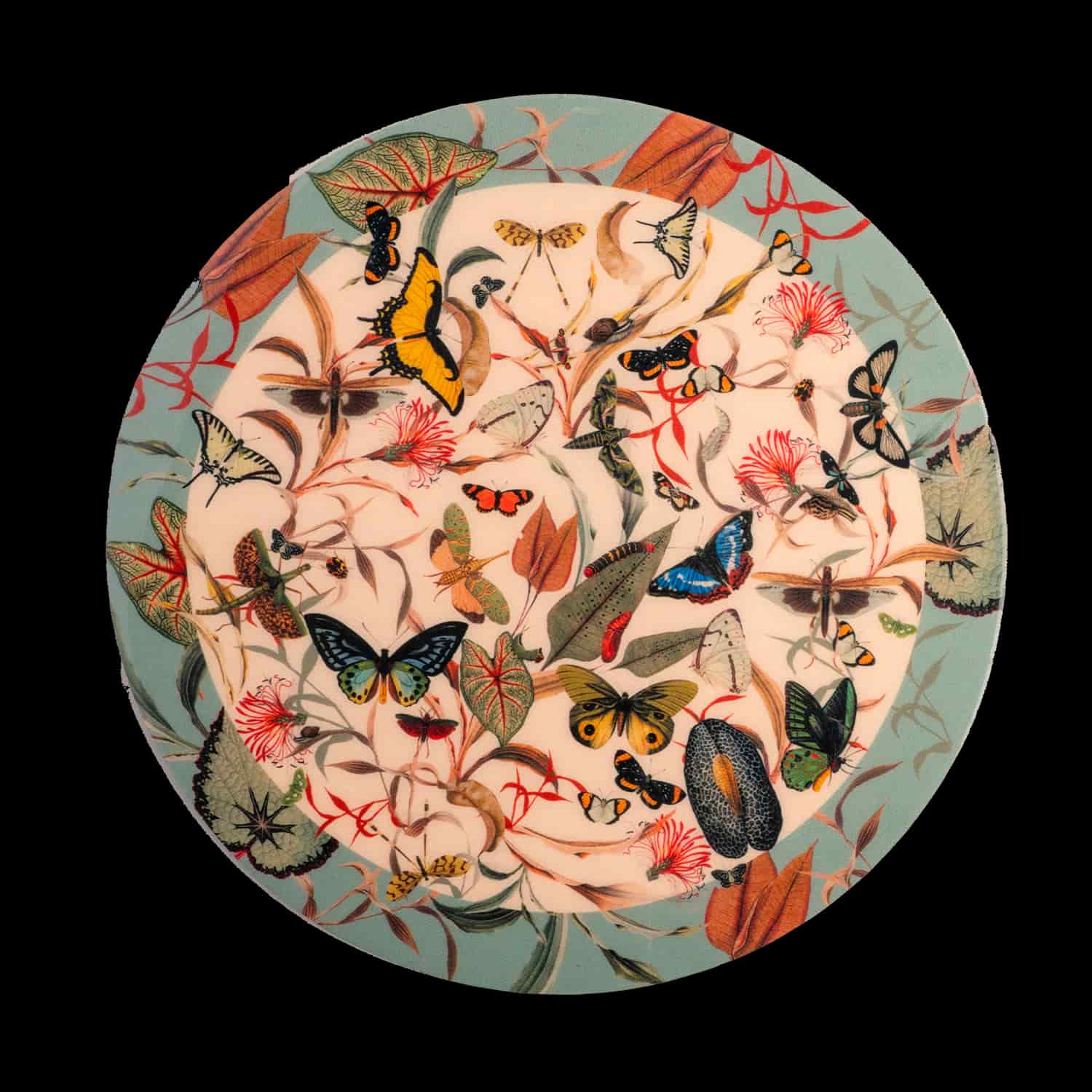 Tabla Redonda - Butterfly Aqua - miniatura 2