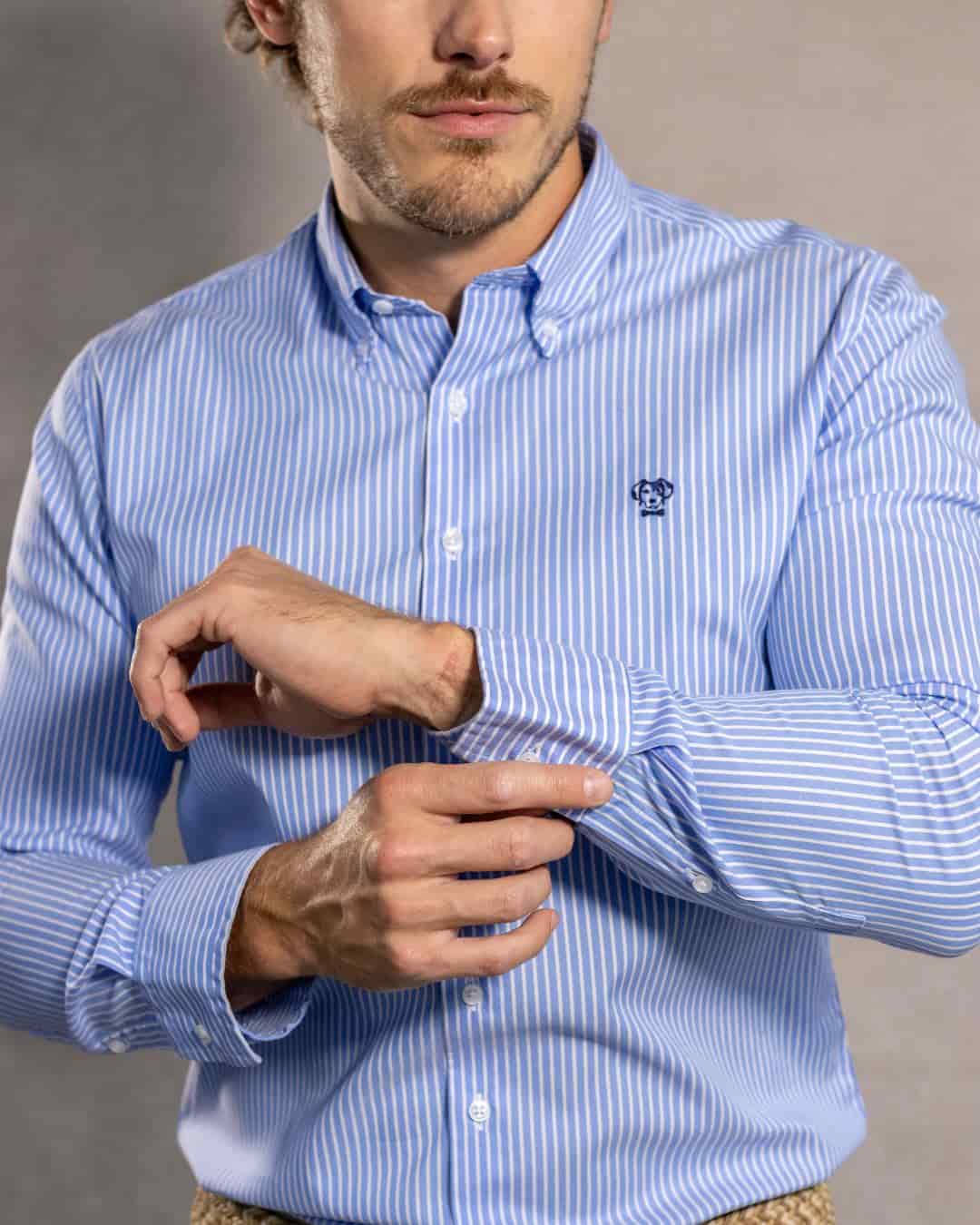 Camisa Antimanchas Oxford Rayas Azul Princeton - miniatura 3