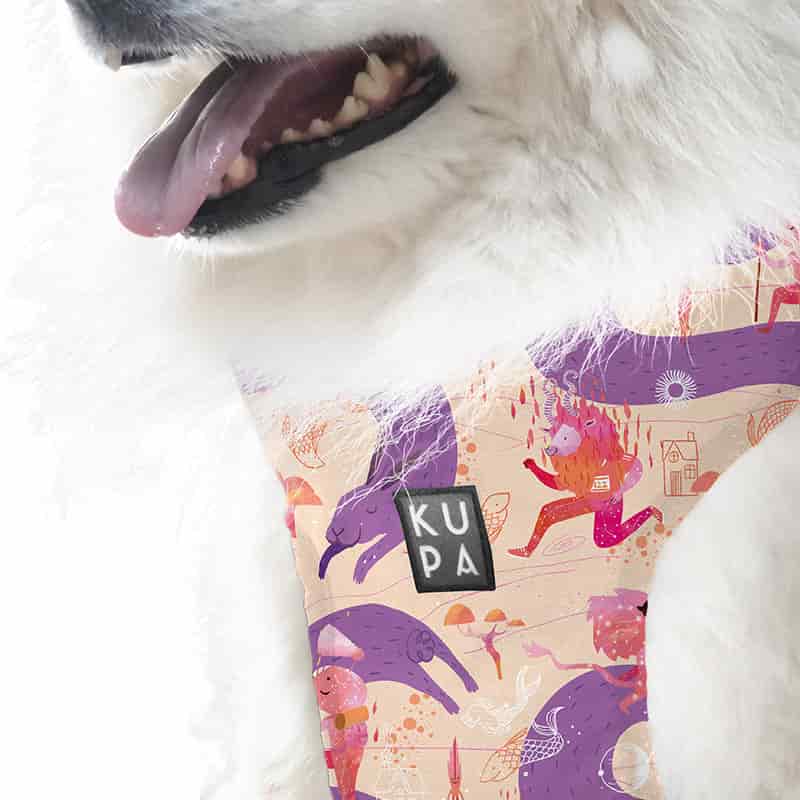 Pechera para mascotas Chía Viajerxs Astrales - miniatura 2