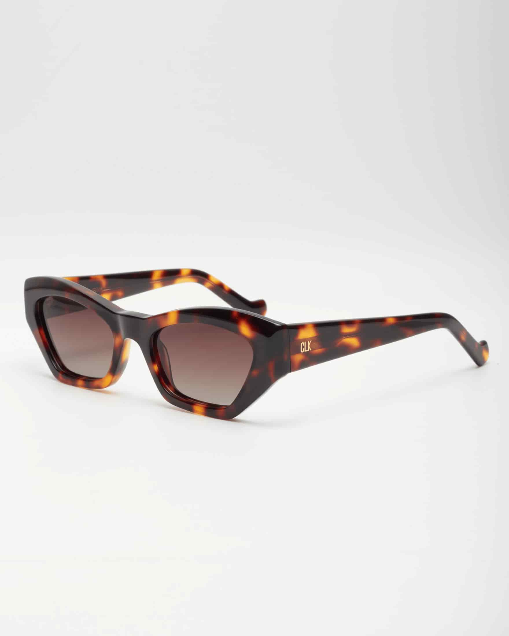 RILEY - TORTOISE / CHOCOLATE - miniatura 7