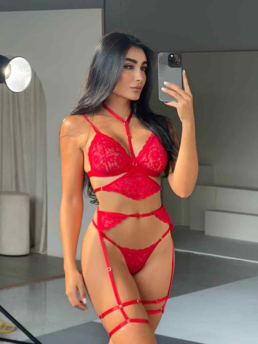 Arnés - Rojo - miniatura 1
