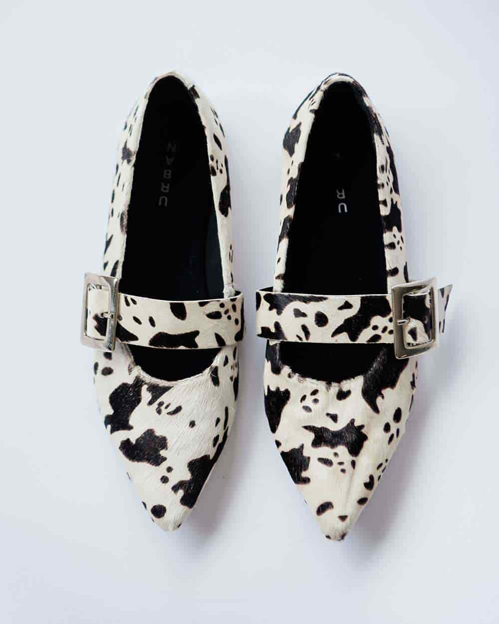 COW POINTER FLATS - miniatura 7