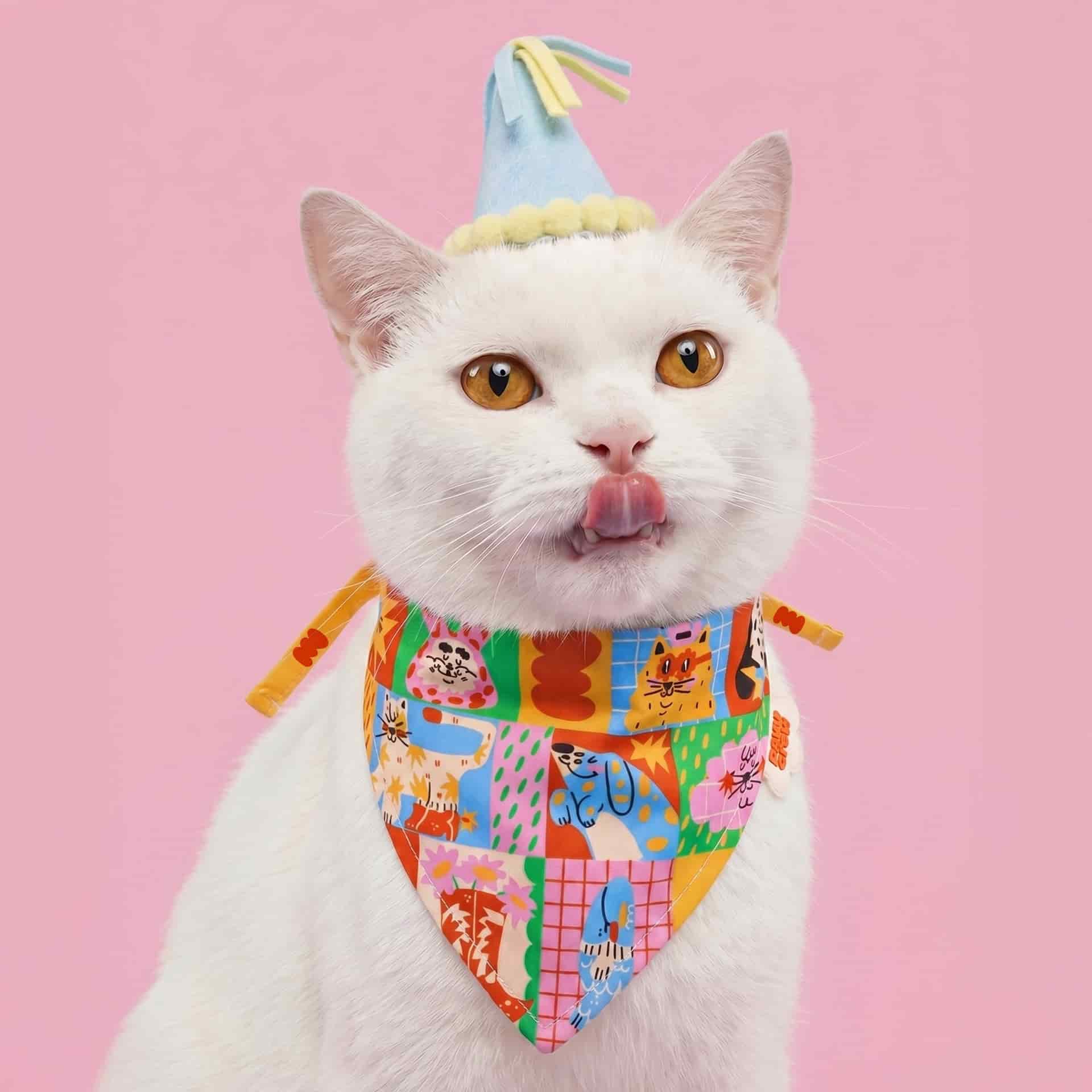 🎈✨ Pañoleta Party - miniatura 1