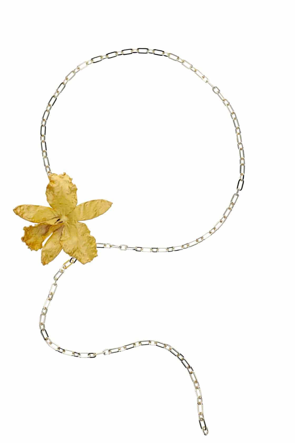 CINTURON CATTLEYA - miniatura 1