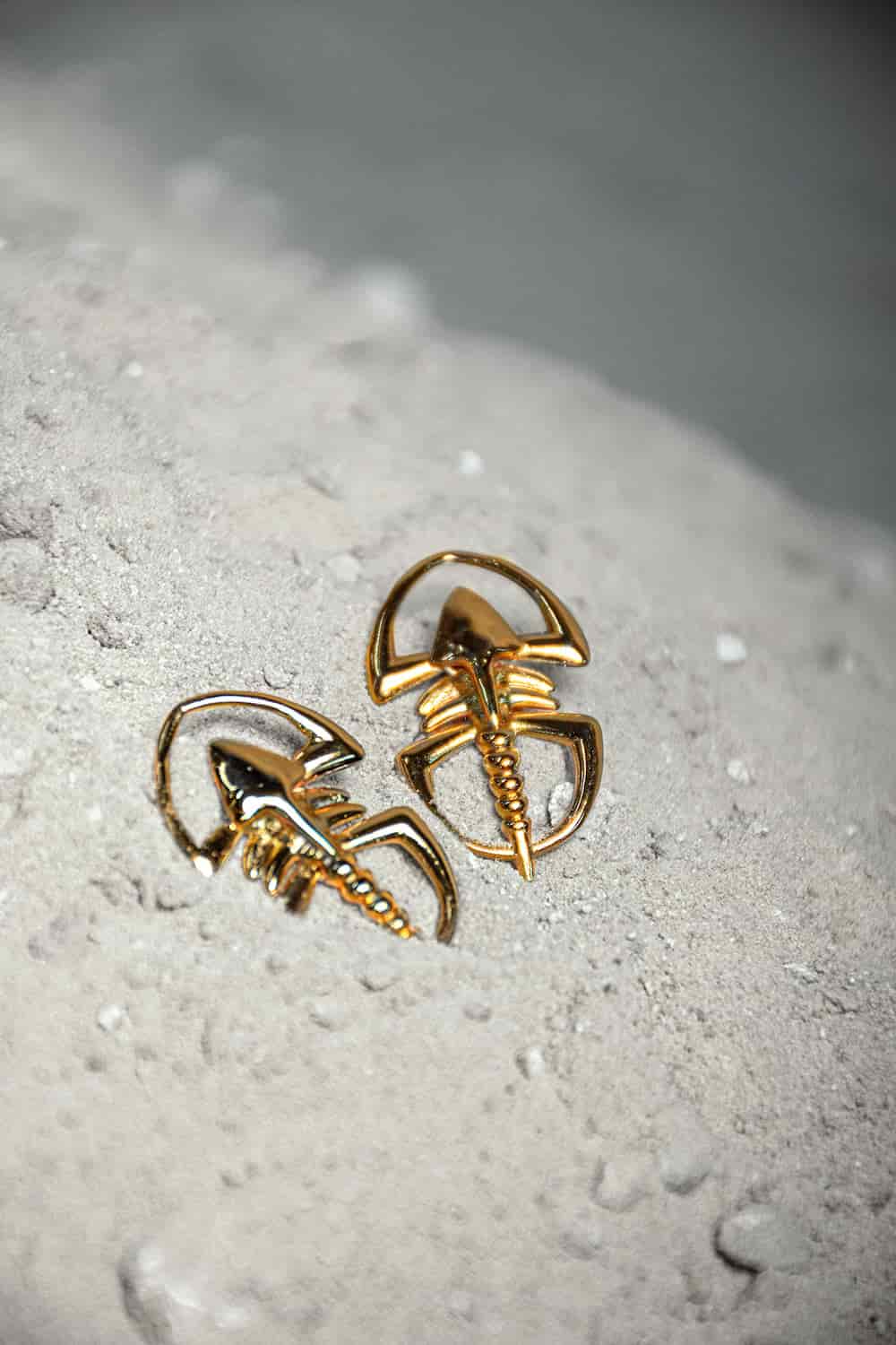 Aretes Pagetia - miniatura 2