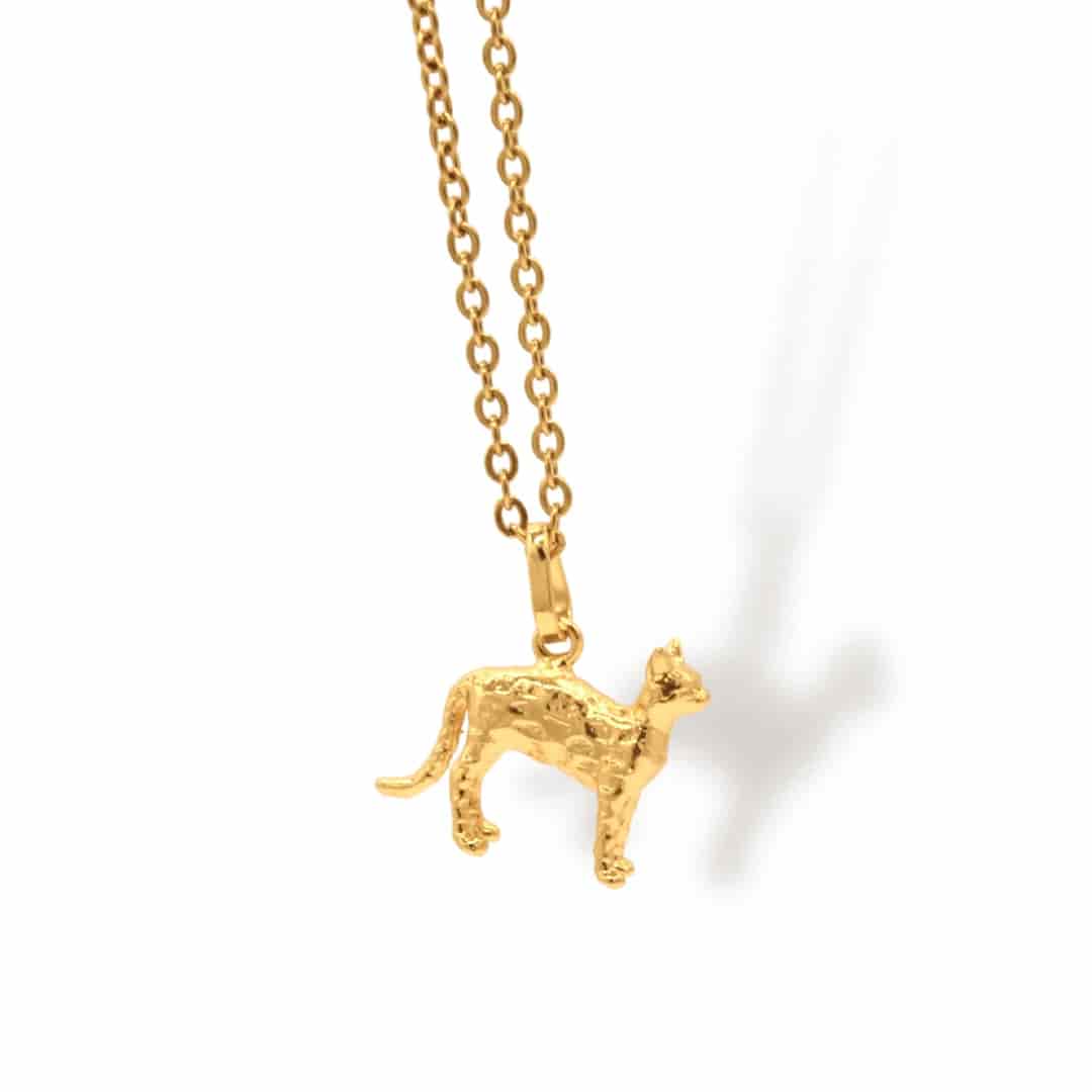 Cadena de gato con manchas cuerpo completo - miniatura 2