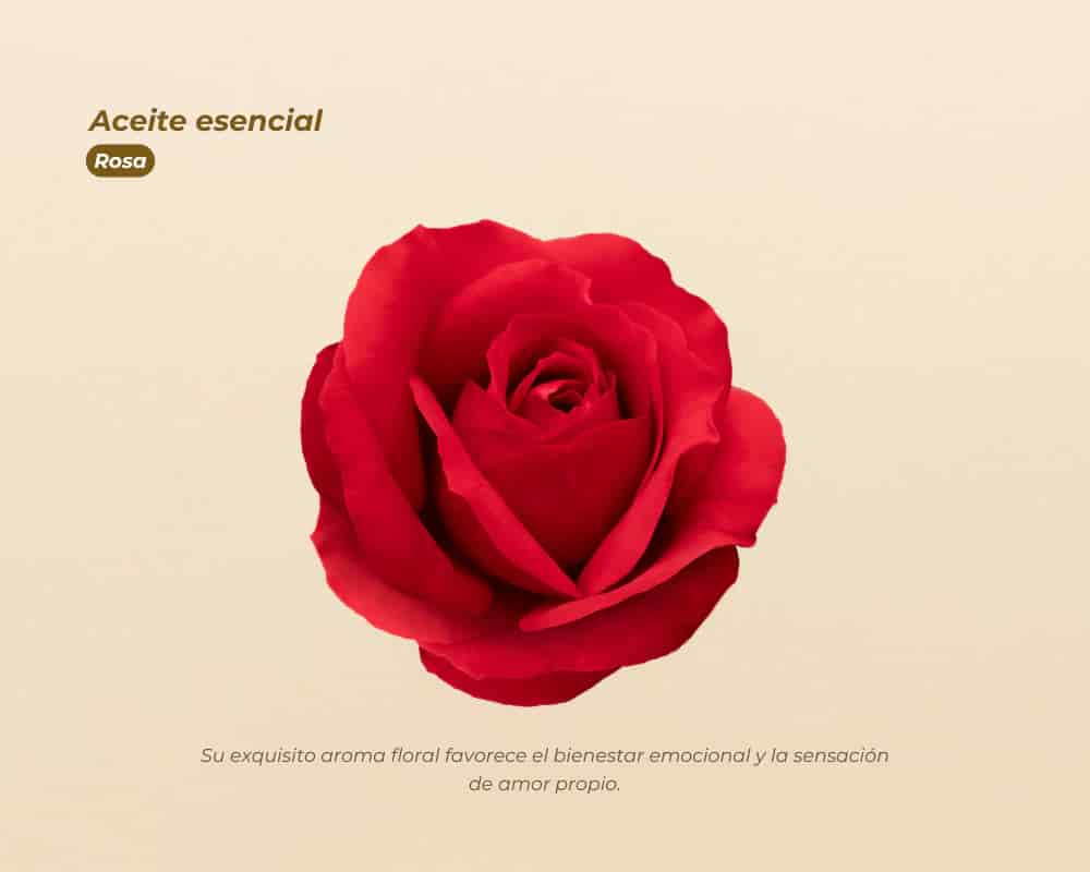Aceites Esenciales 100% Puros para aromaterapia y bienestar - miniatura 16