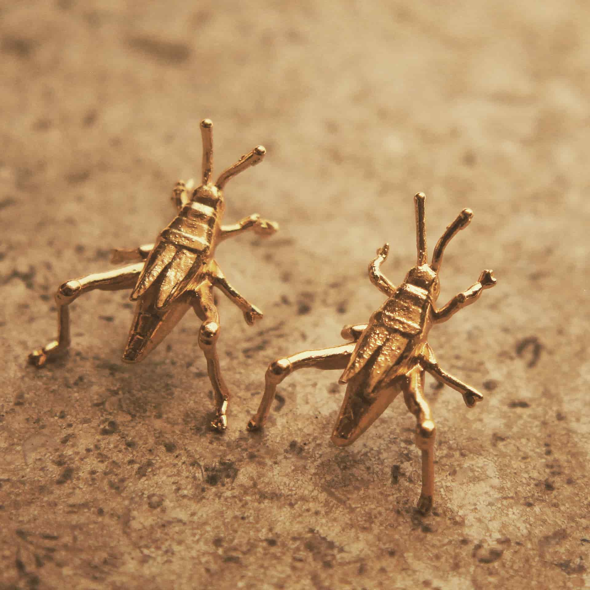 Aretes de saltamontes medianos - miniatura 3