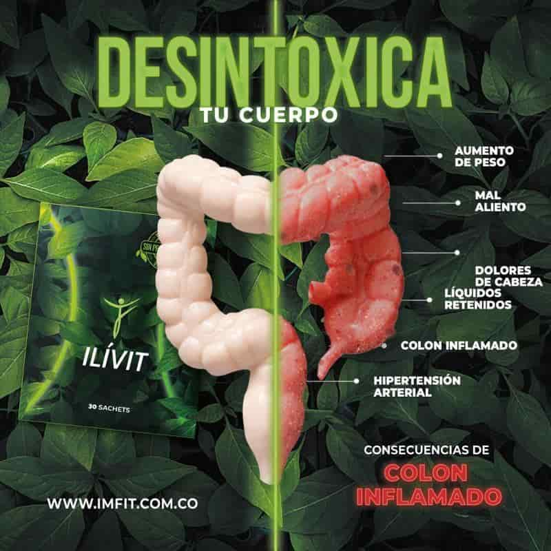 ILIVIT - miniatura 2