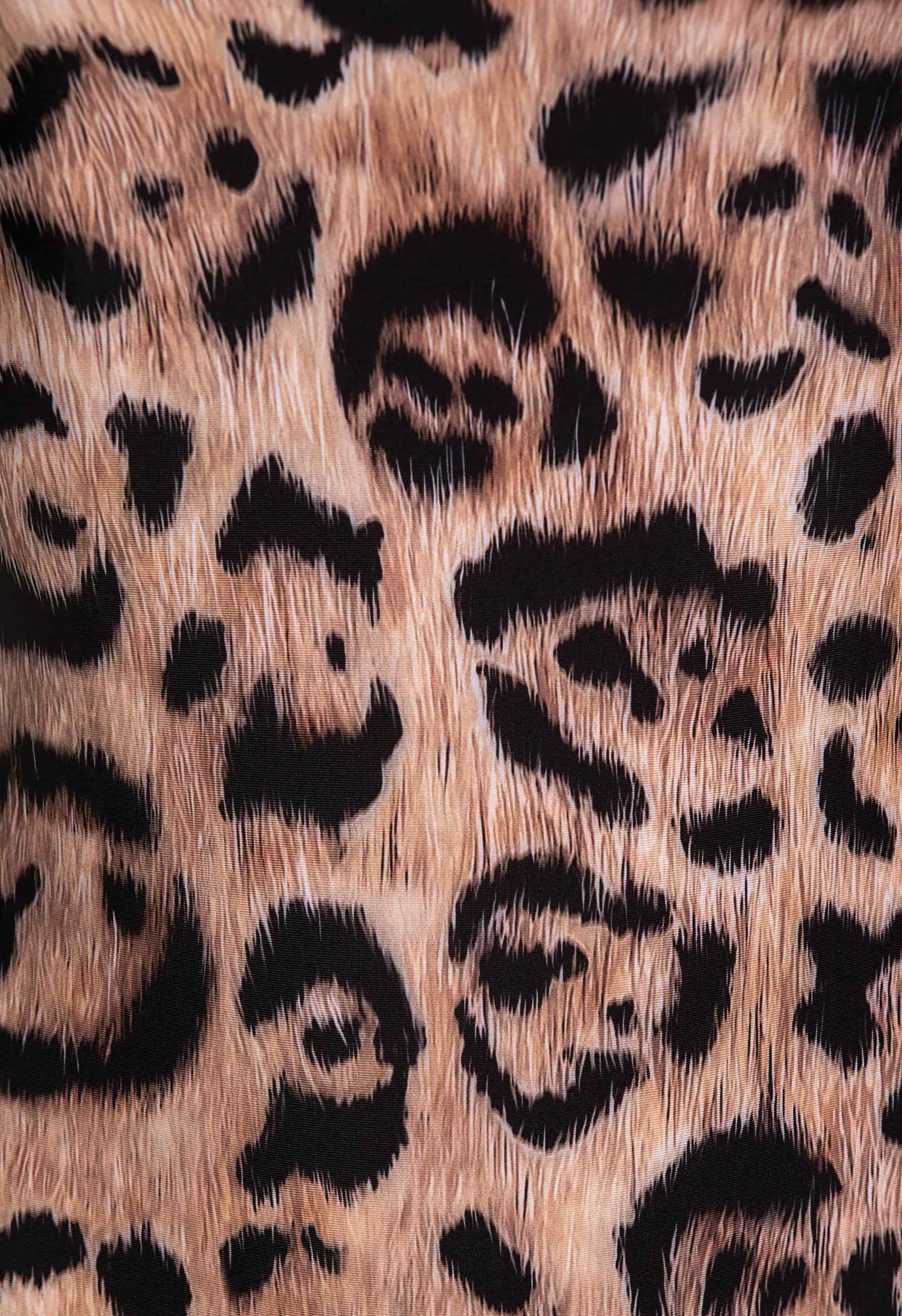 Gema Jaguar One piece - miniatura 8