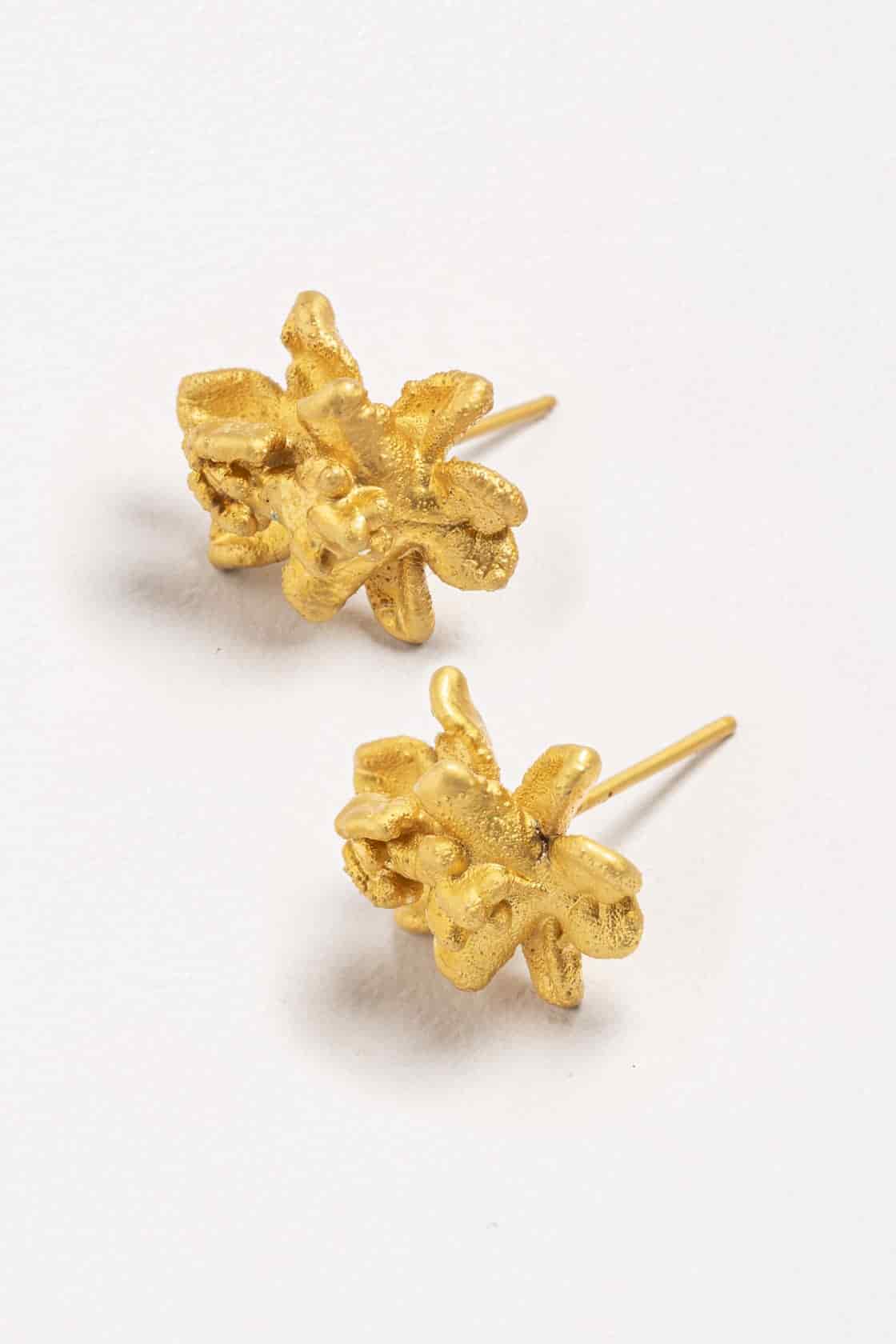 SIGMATOXTALIS STUDS - miniatura 2