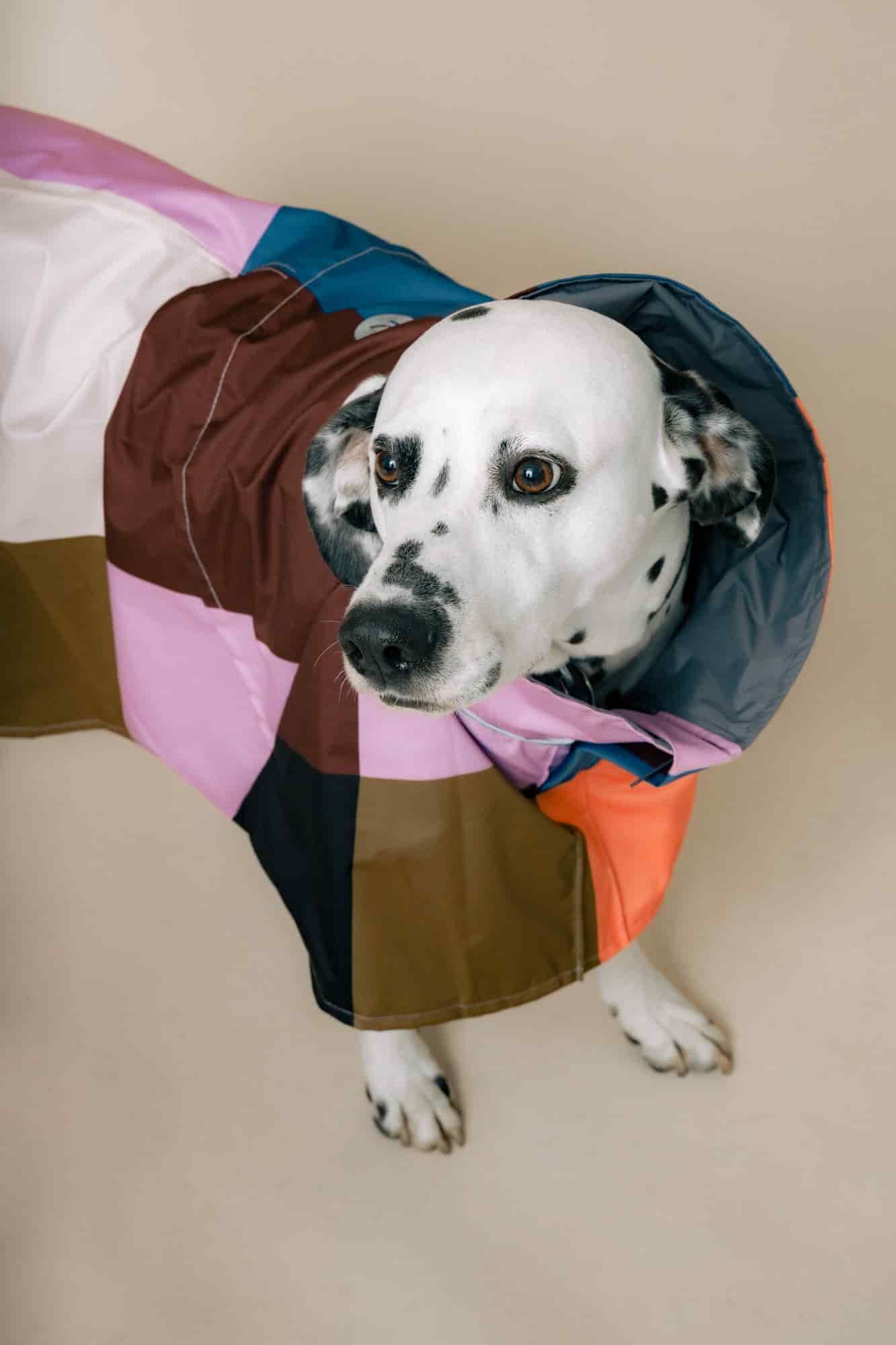 DOG´S RAINCOAT URBAN SPLASH - miniatura 3
