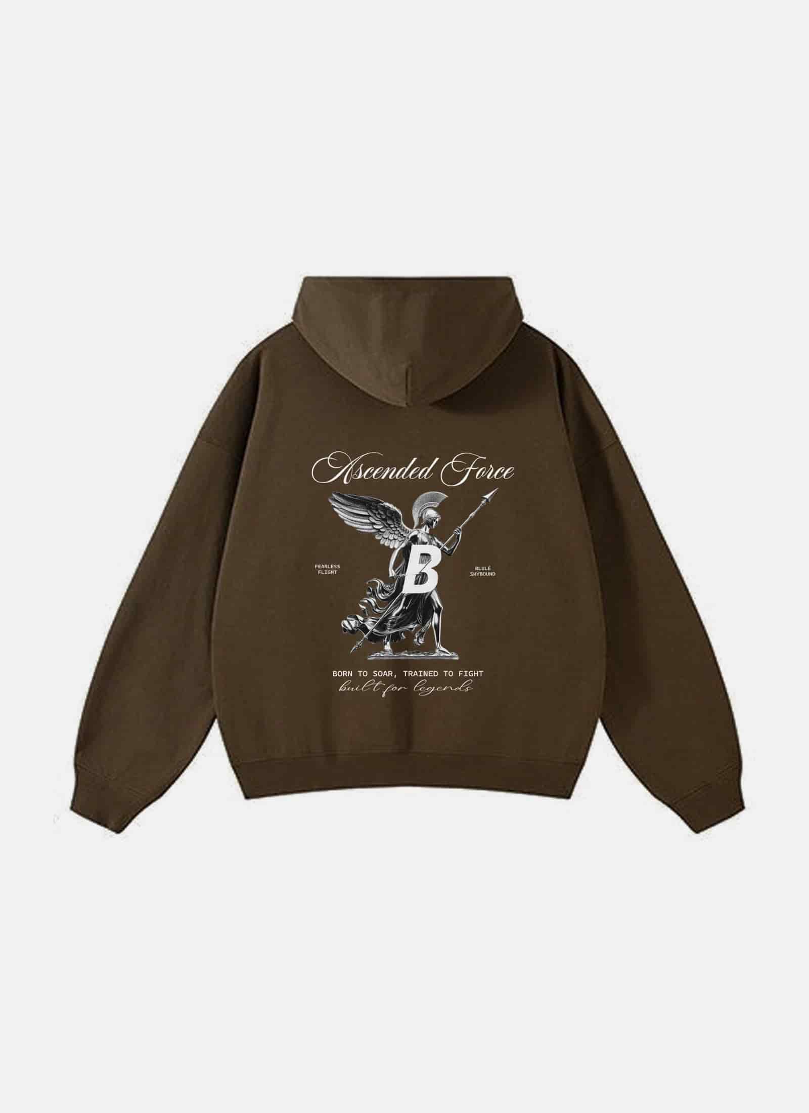 Ascended Force Hoodie Brown - miniatura 1