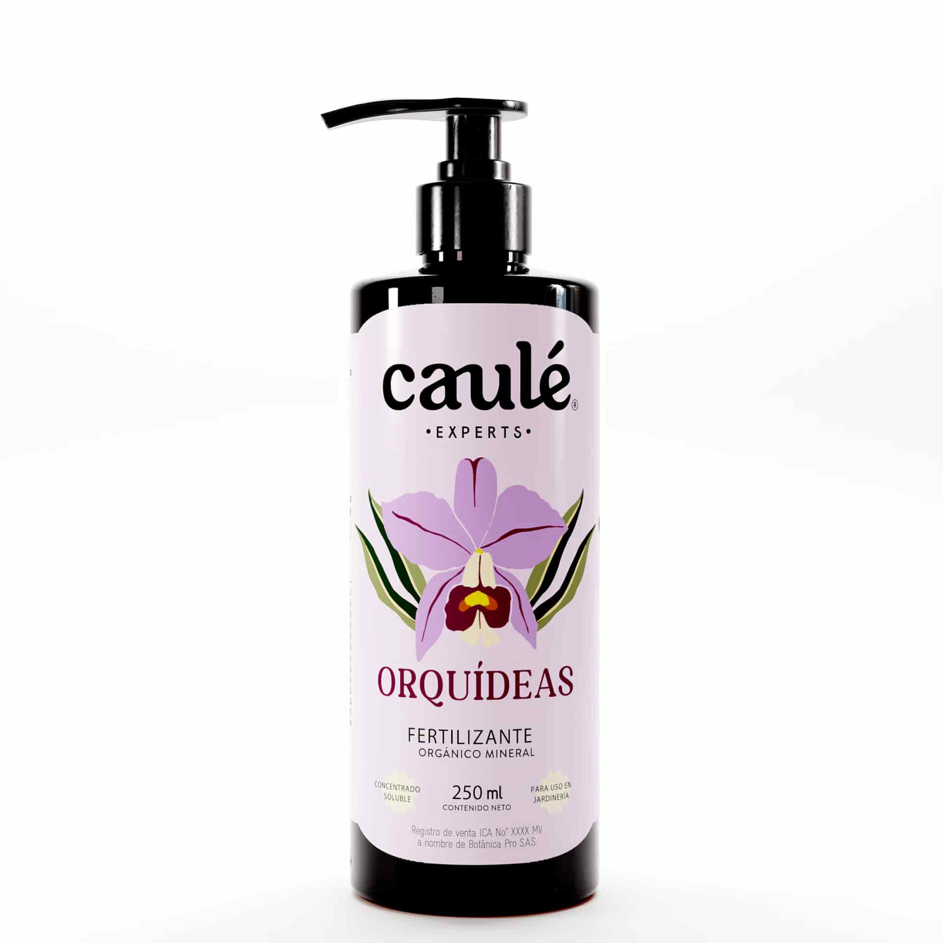 Caulé Orquídeas - miniatura 1