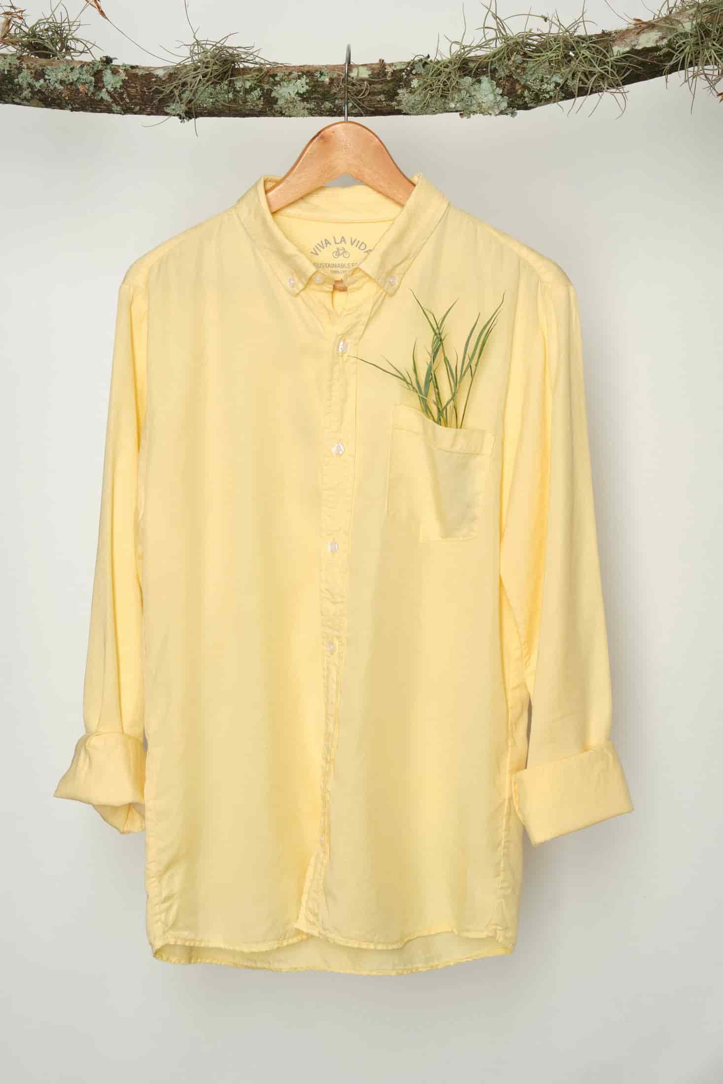 CAMISA LYOCELL BUTTER - miniatura 4