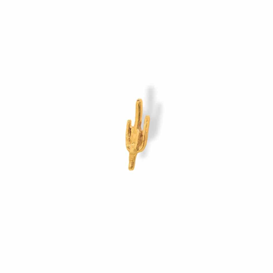 Arete de cactus pequeño - miniatura 2