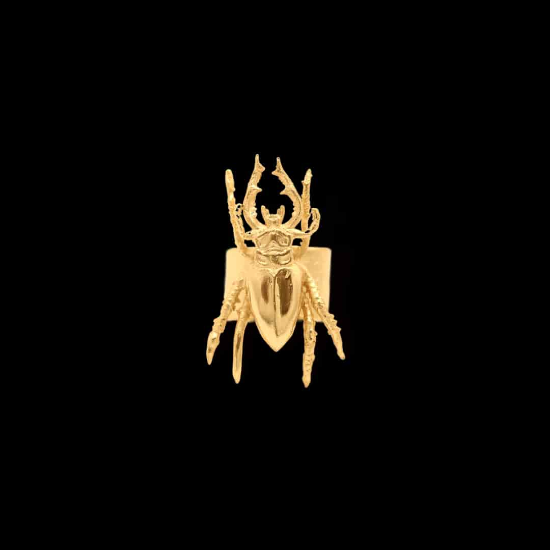 Anillo de escarabajo grande - miniatura 1