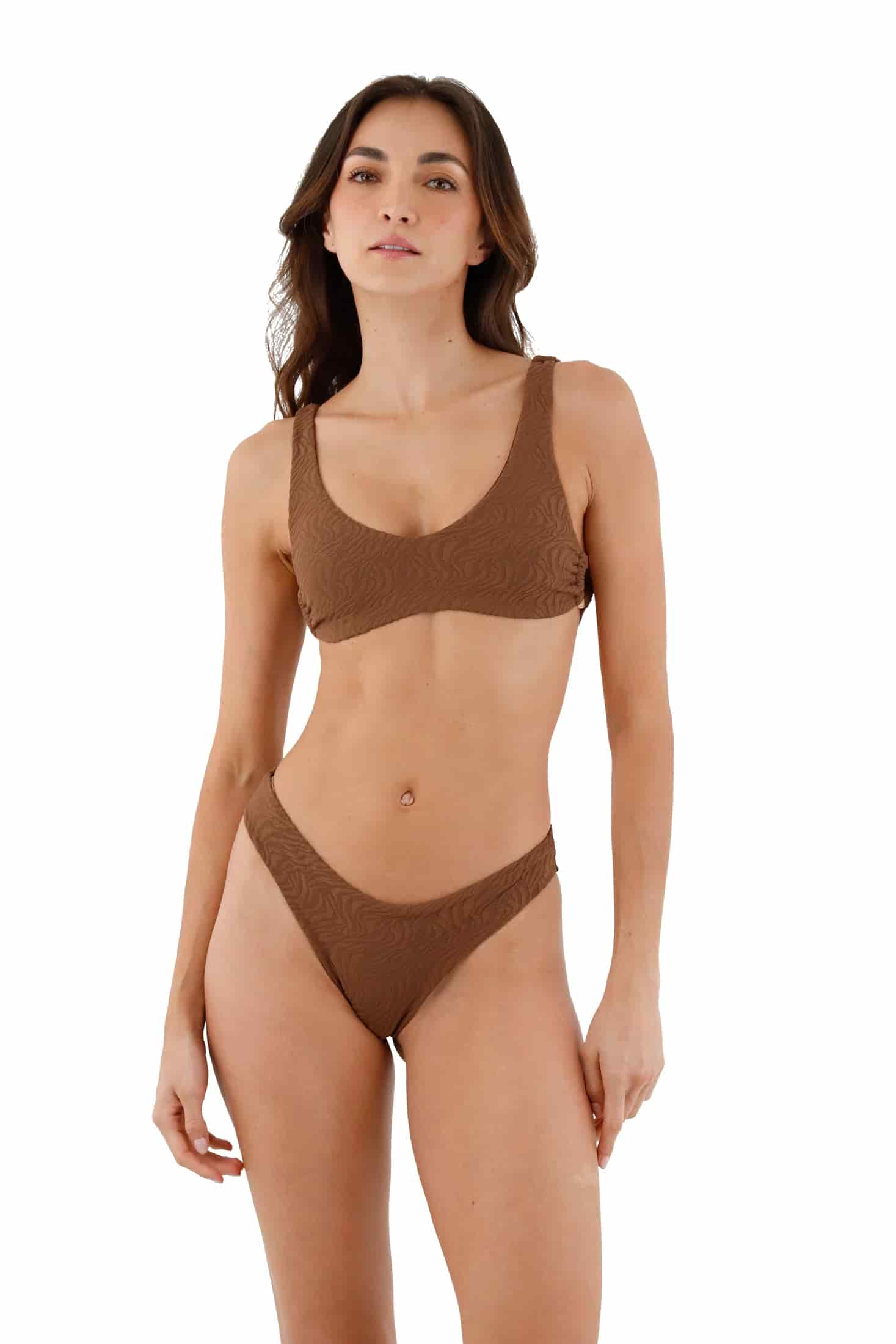Earth Zebra Neo Paramount Bottom - miniatura 2