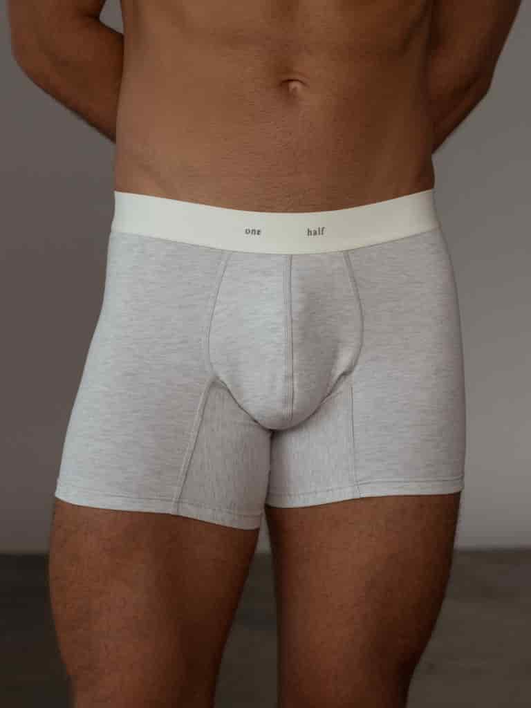 MEN CLASSIC COTTON BOXER - GRAY - miniatura 3