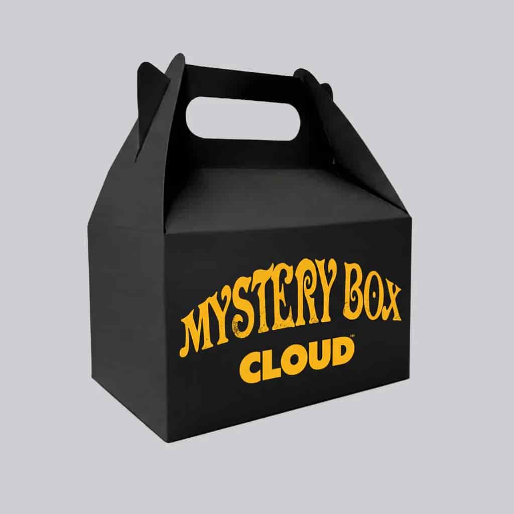 Mystery Bag Grandota - miniatura 4