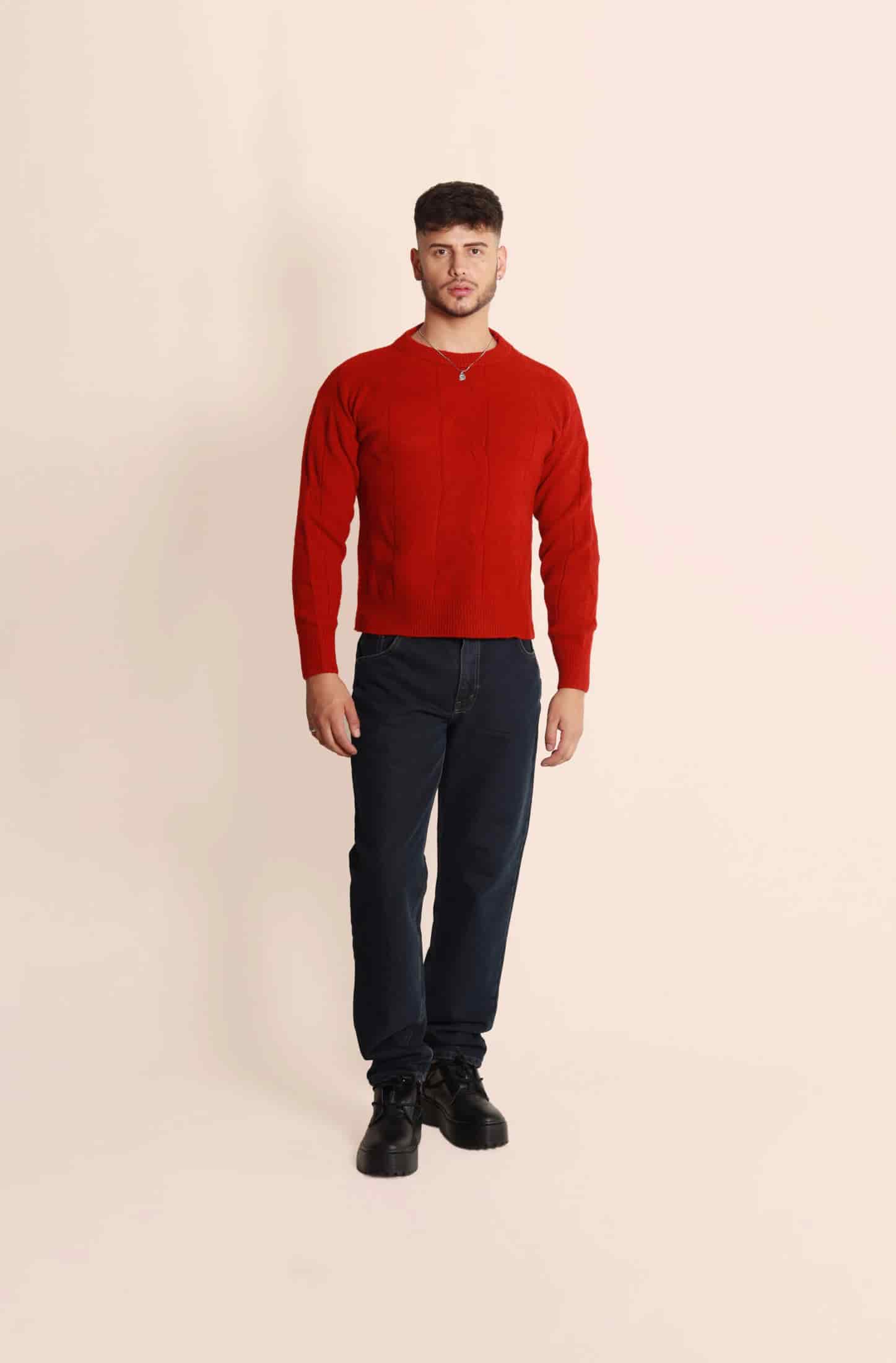 The Winter Red Sweater - miniatura 1