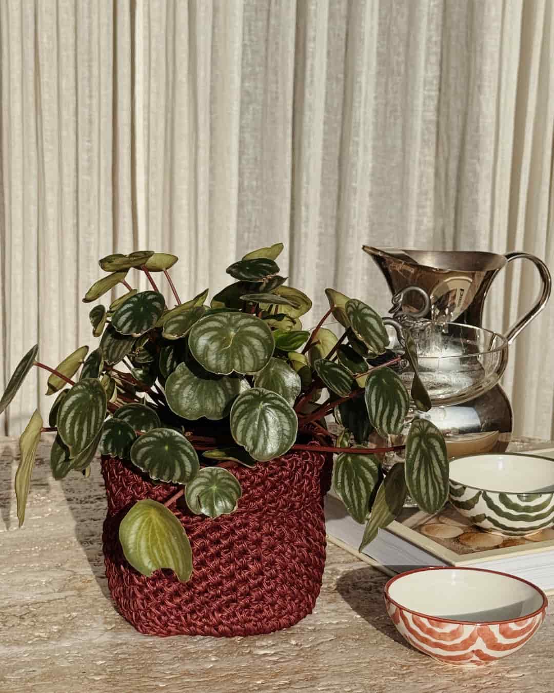 FIQUE MINI BASKET WINE - miniatura 4