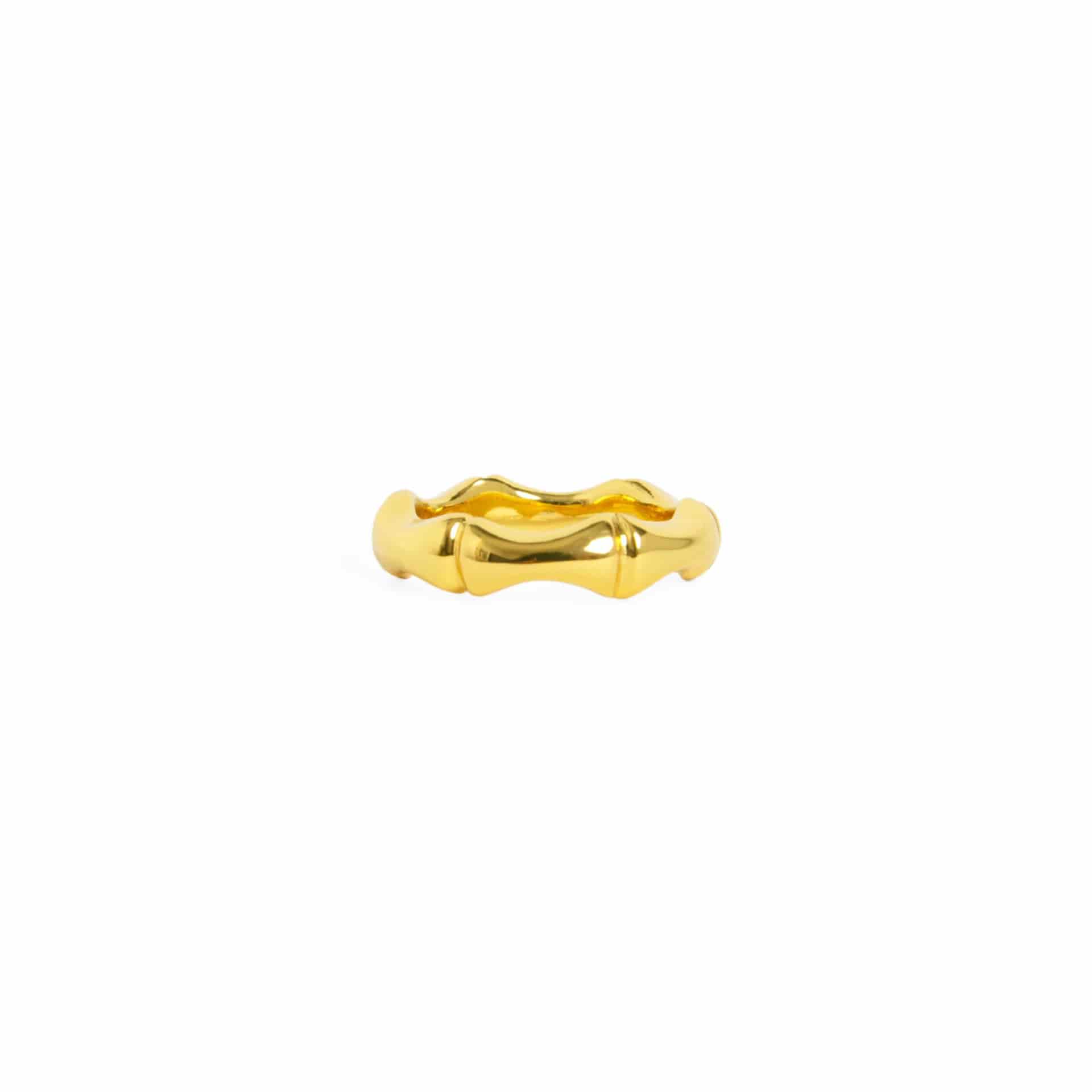 Anillo Bamboo - miniatura 1