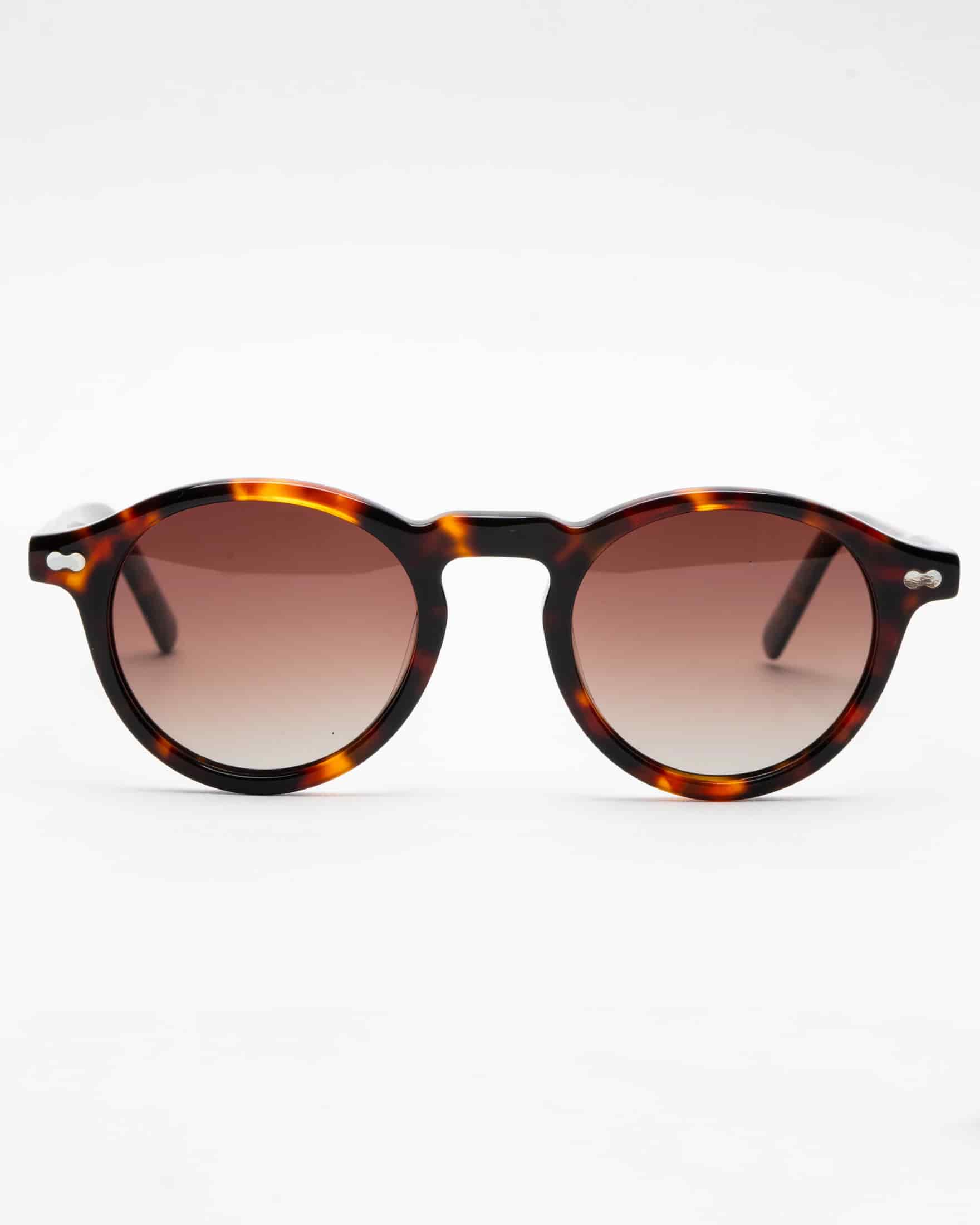PATRICK - TORTOISE / GRADIENT BROWN - miniatura 5