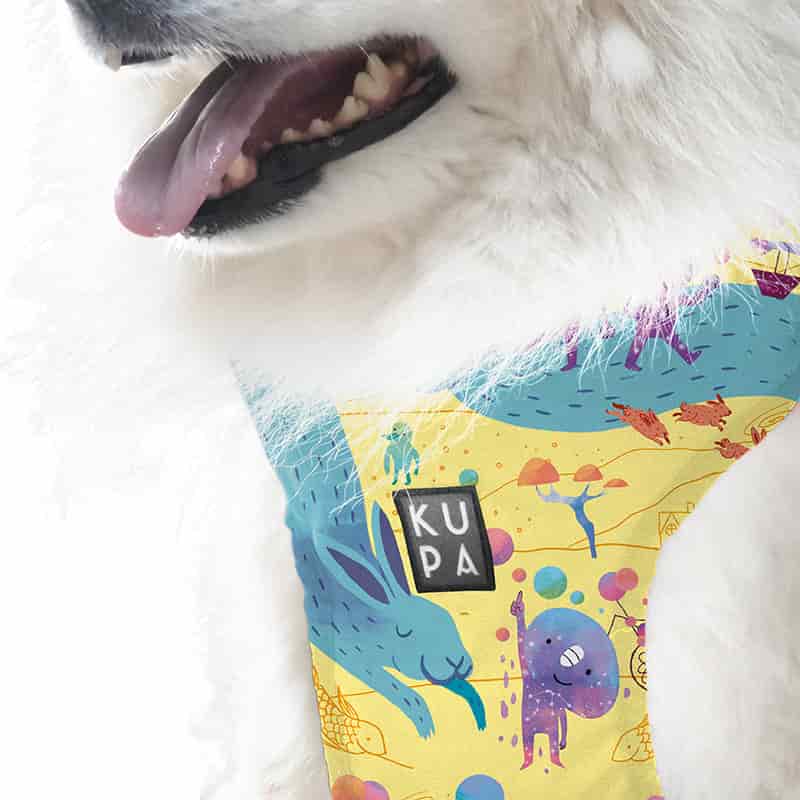 Pechera para mascotas Chía Viajerxs Astrales - miniatura 4