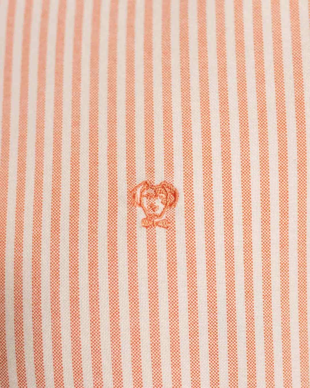 Camisa Antimanchas Oxford Rayas Coral - miniatura 6