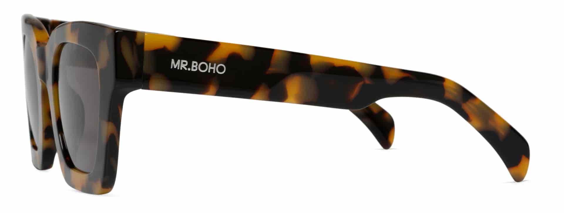 HC TORTOISE BONDI  WITH CLASSICAL LENSES - miniatura 3