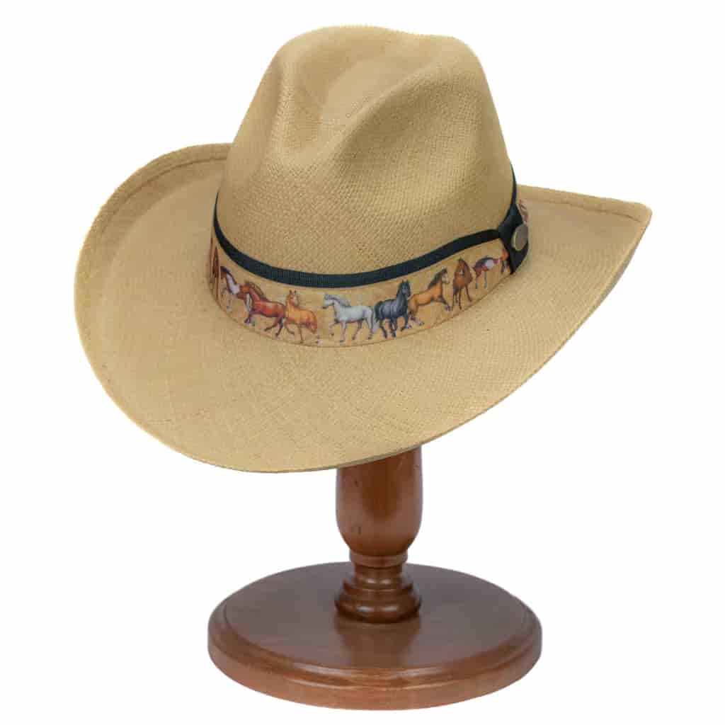 Sombrero Boston Trocha - miniatura 1