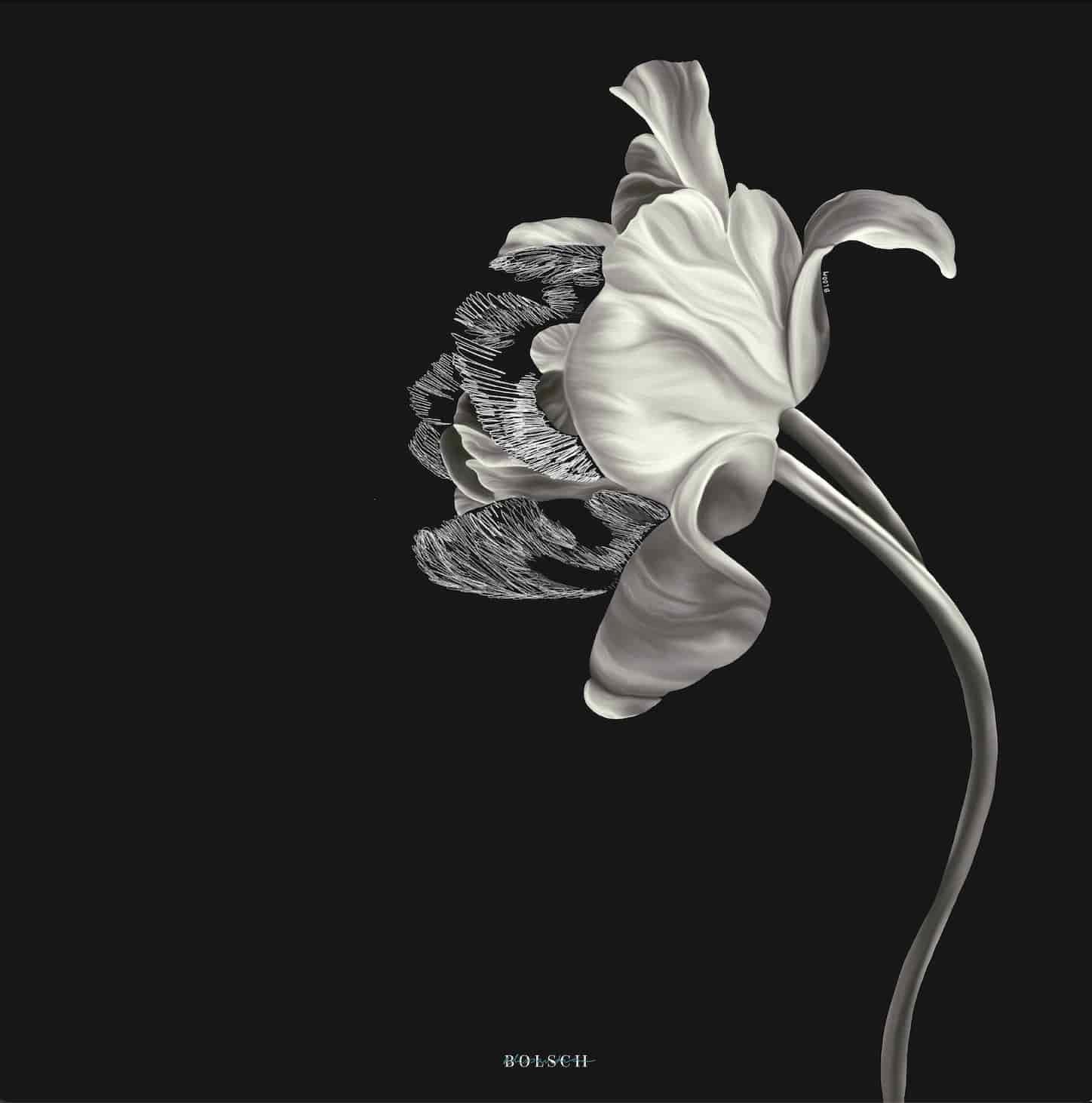BLOOM - miniatura 1