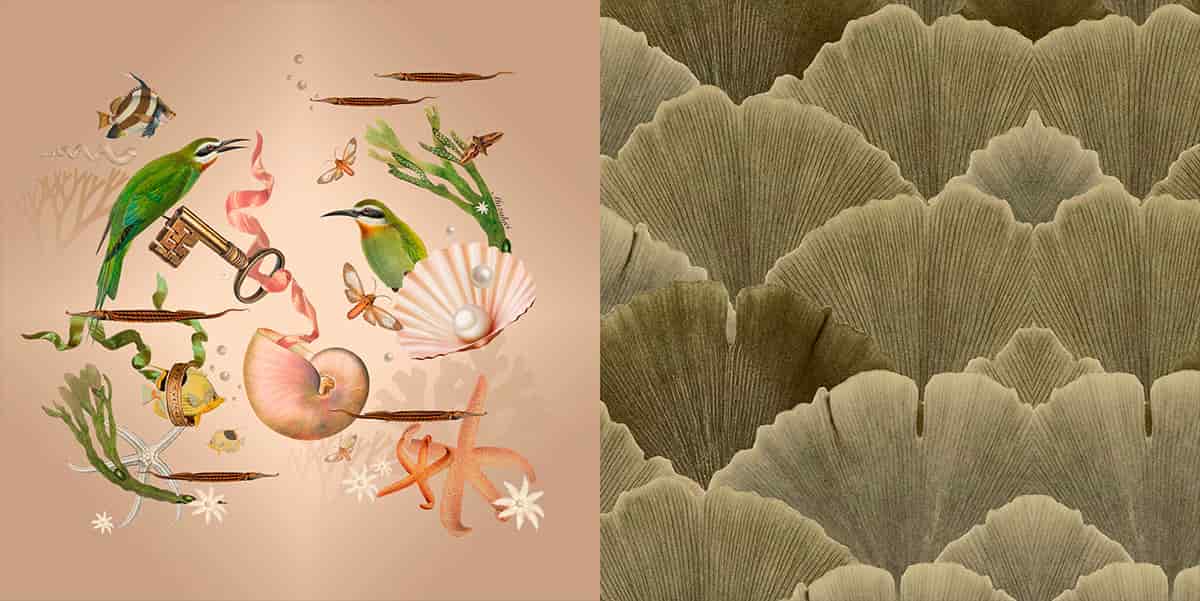 Cojin - Coralina - miniatura 3