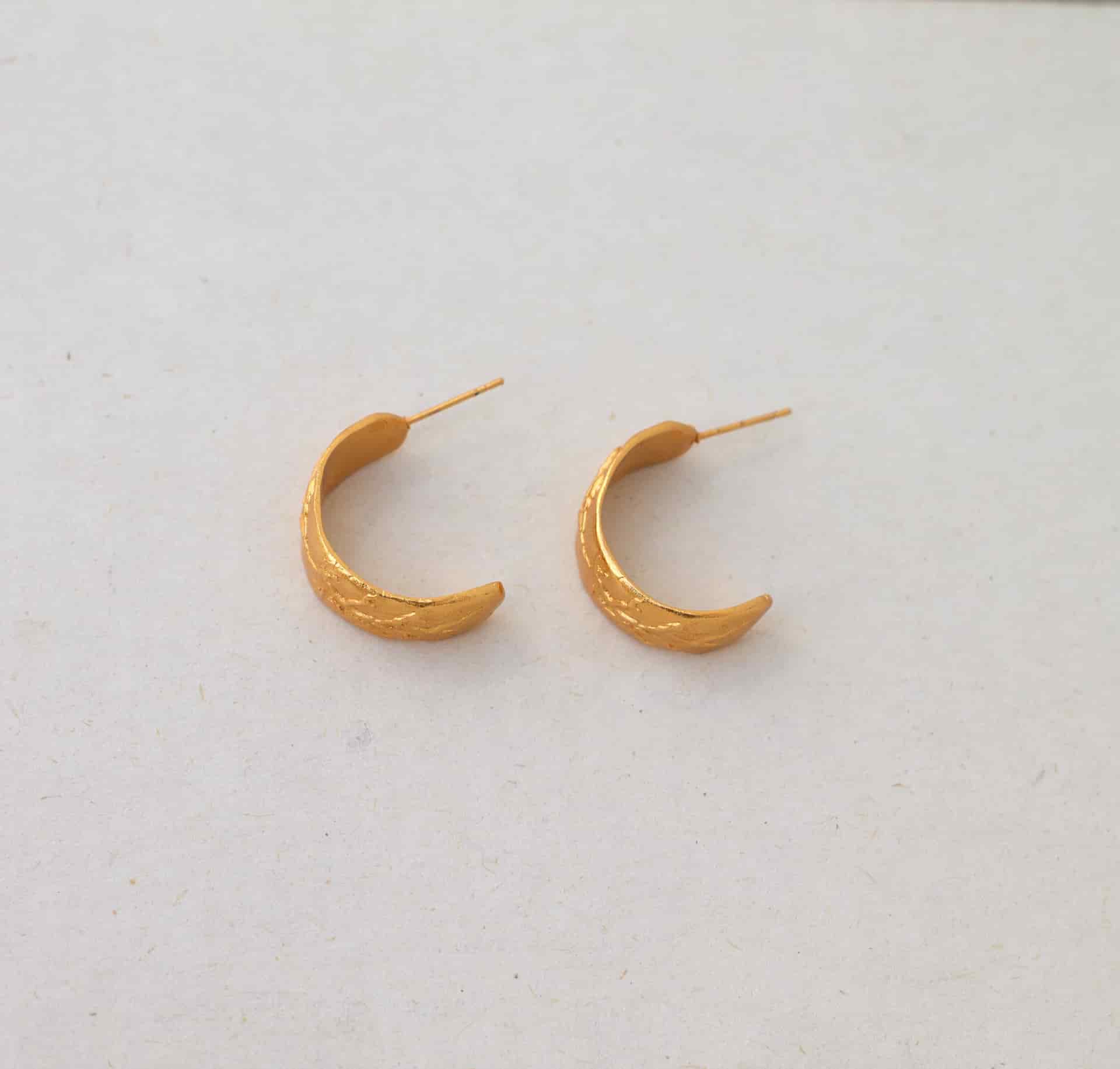 Candongas raíz y fruto - miniatura 3