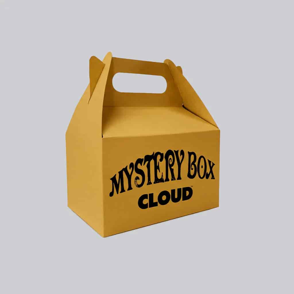 Mystery Bag chiquita - miniatura 4