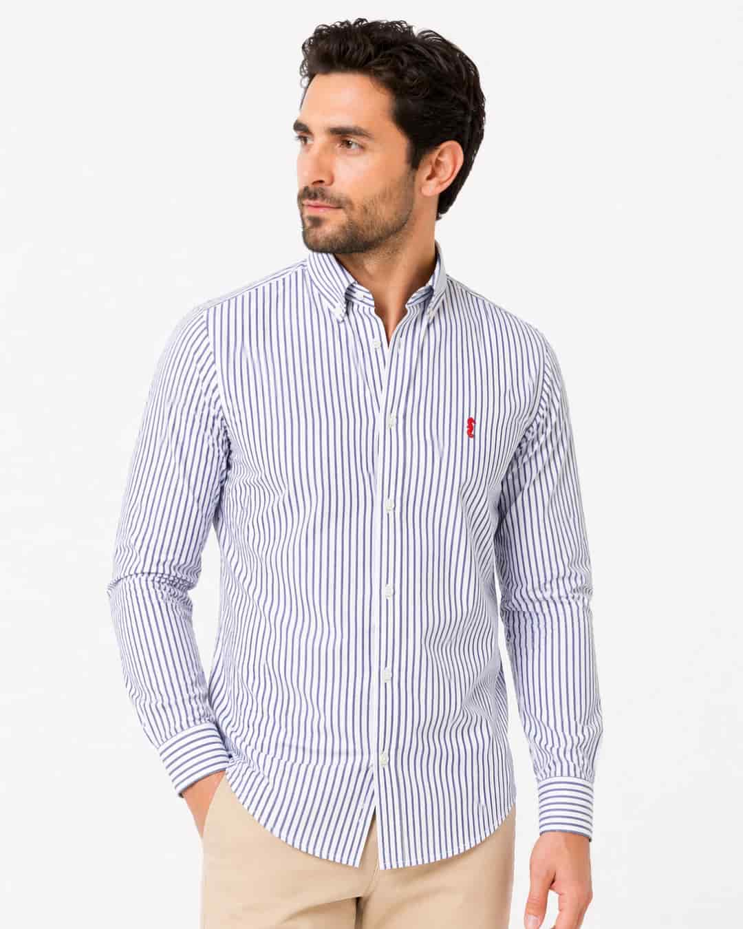 Camisa 100% Algodón Manga Larga Rayas Azul Oscuro - miniatura 3