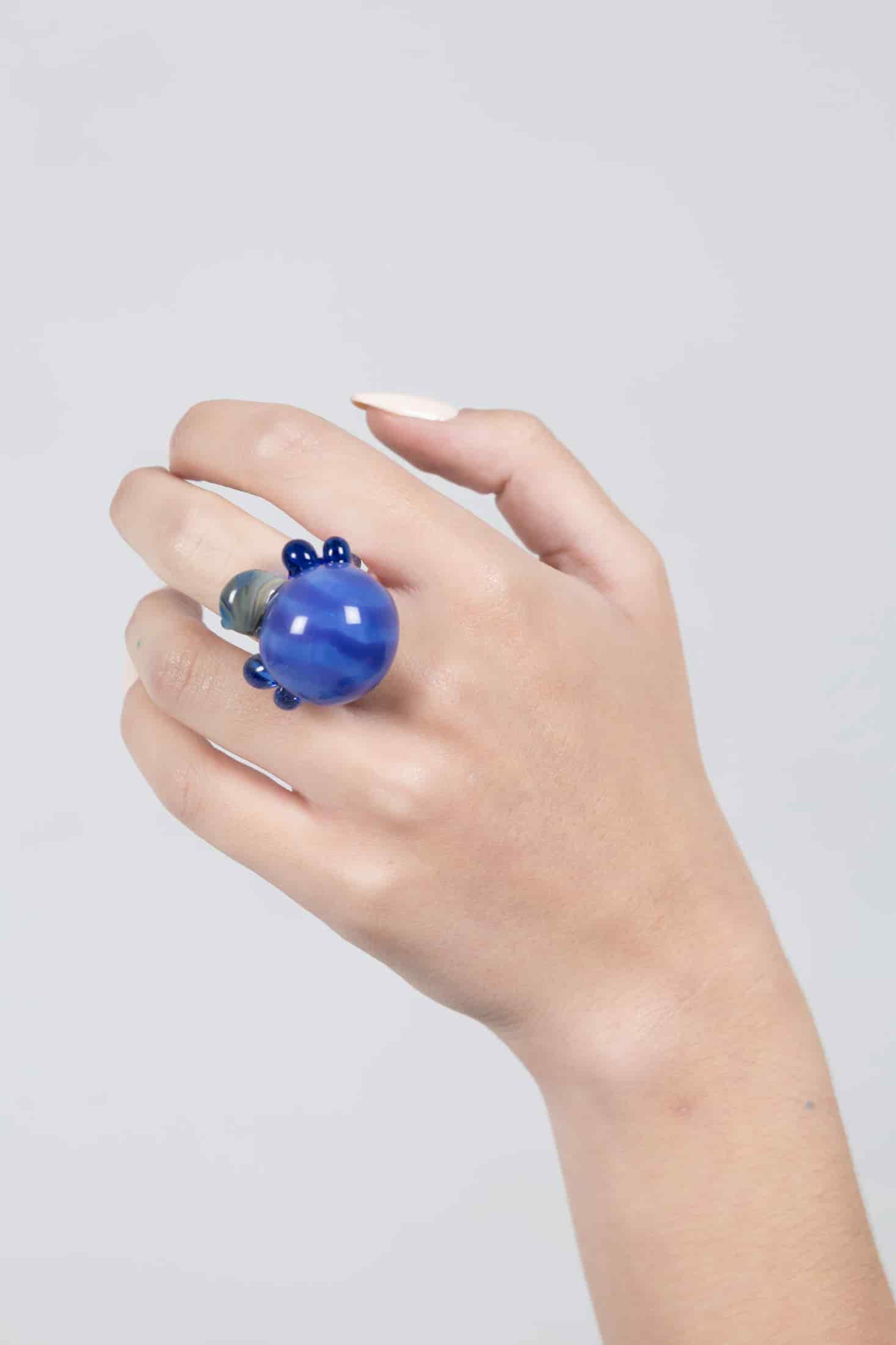 Escarabajo mora azul - miniatura 2