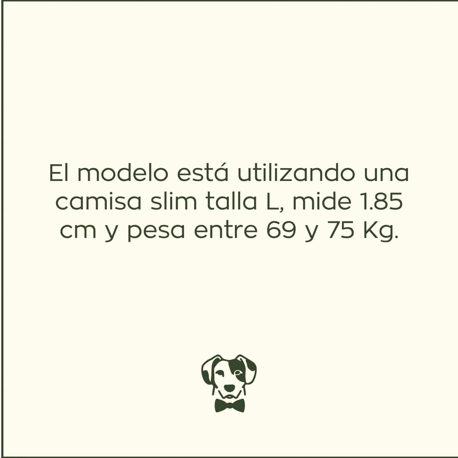 Camisa Antimanchas Oxford Gris - Talla Slim - miniatura 12