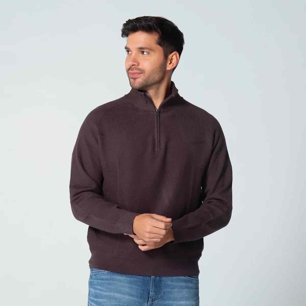 Buzo Cuello Alto Regular Lemon - miniatura 1