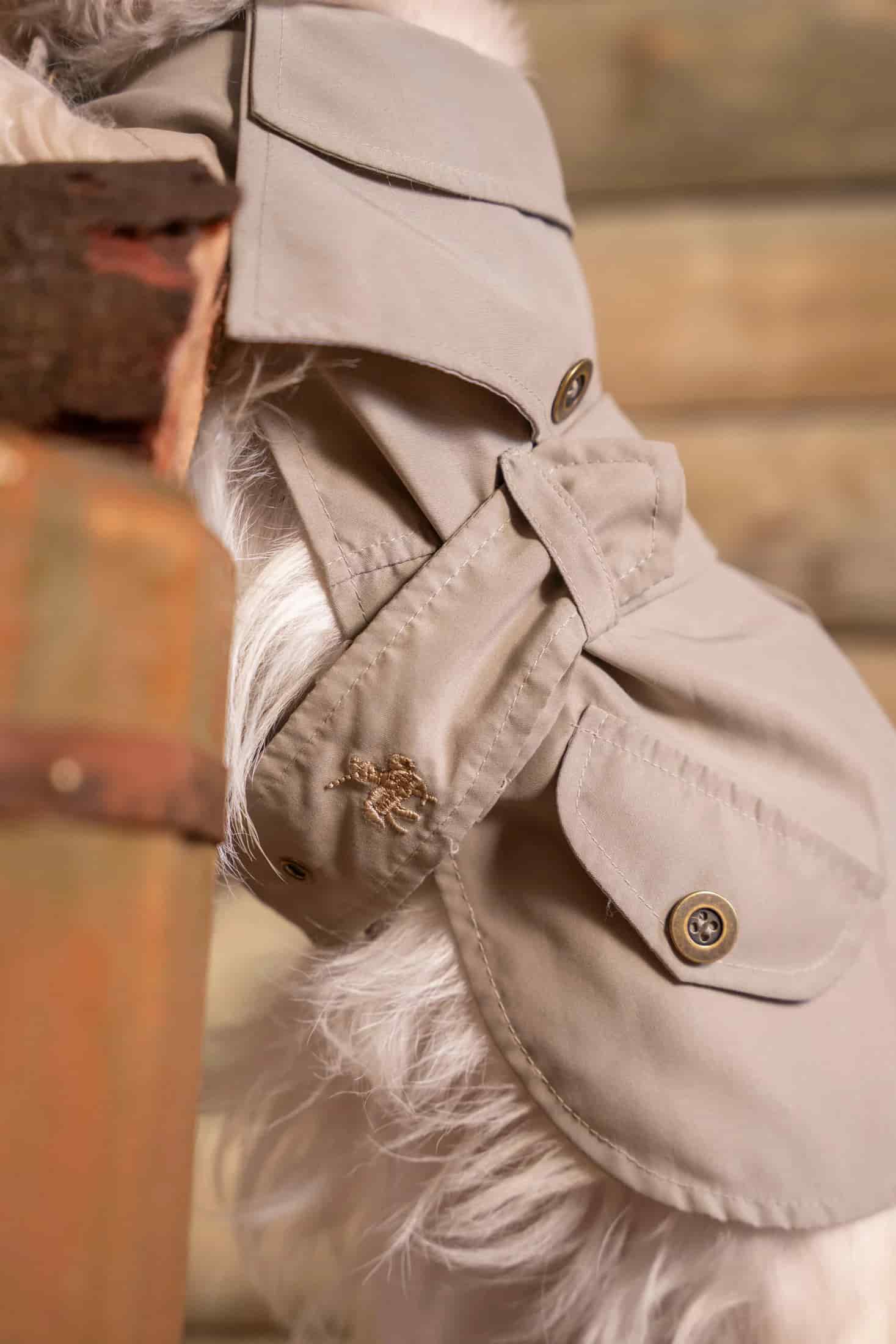 Trench Perro Beige Oscuro - miniatura 4