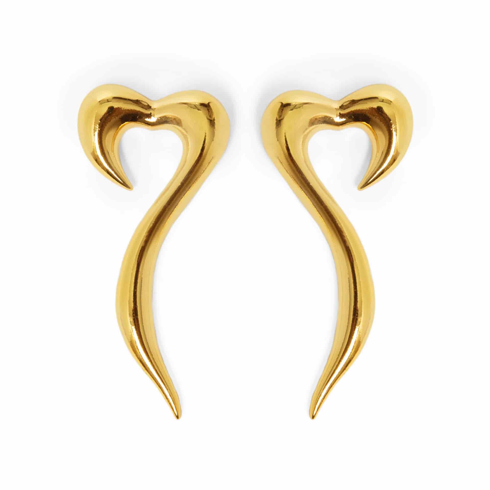 Aretes Elogio (Maxi: largo 5.5cm) - miniatura 9