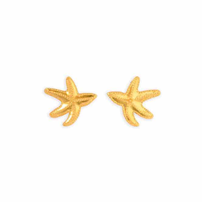 Topo Estrella De Mar - miniatura 1