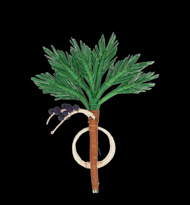 SERVILLETEROS - PALMERA DE AÇAI - miniatura 1