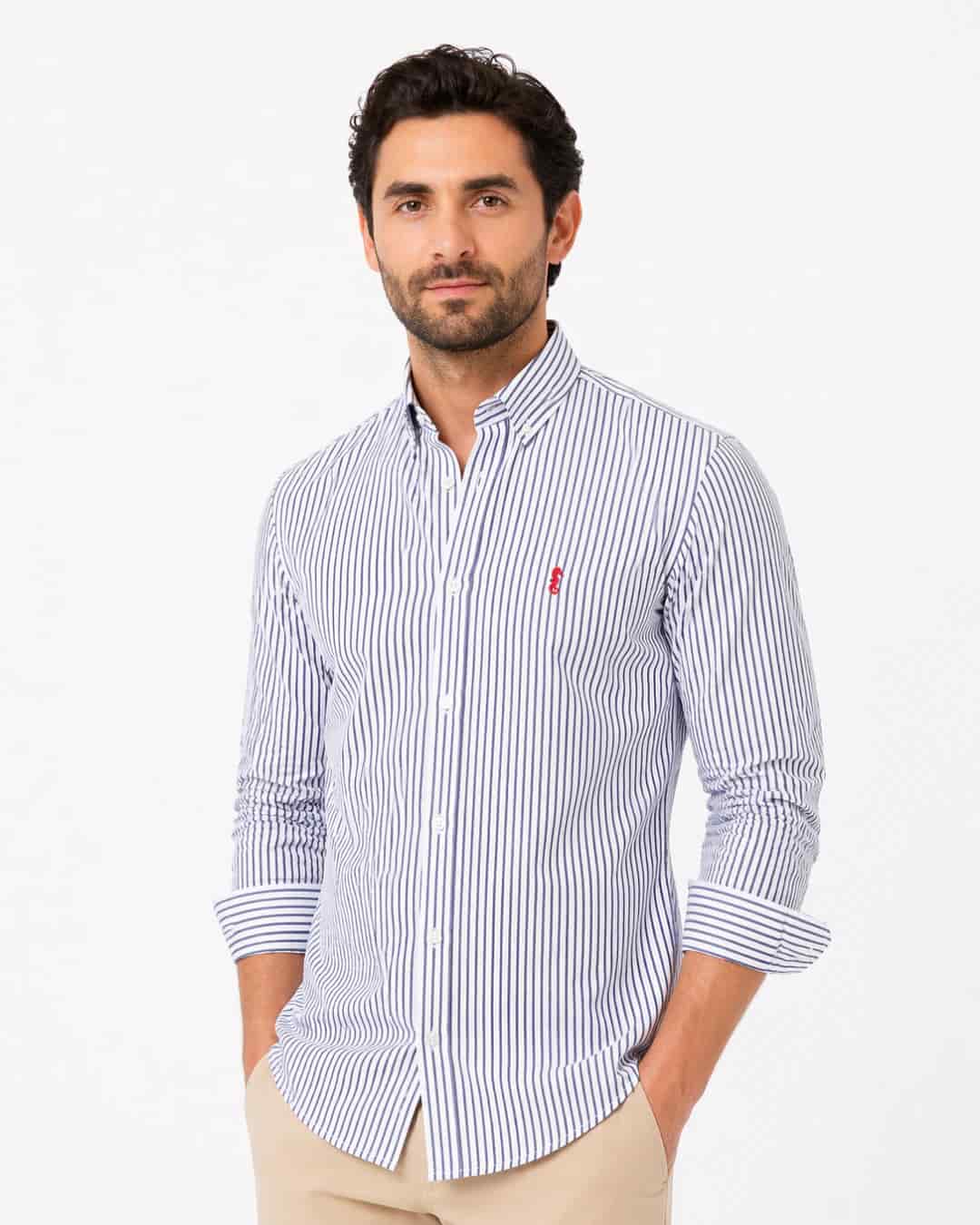 Camisa 100% Algodón Manga Larga Rayas Azul Oscuro - miniatura 1